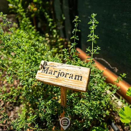 Grace's House בית נופש וילסימיוס